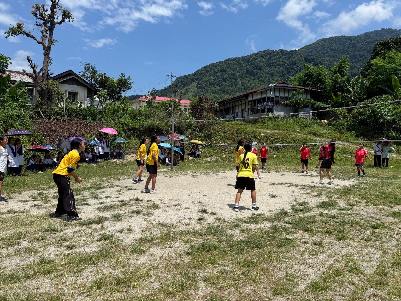 Volleyball activity